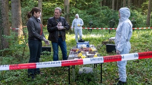 Image de l'épisode 1