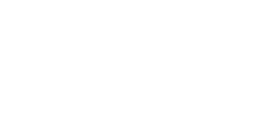Les Pistolets en plastique