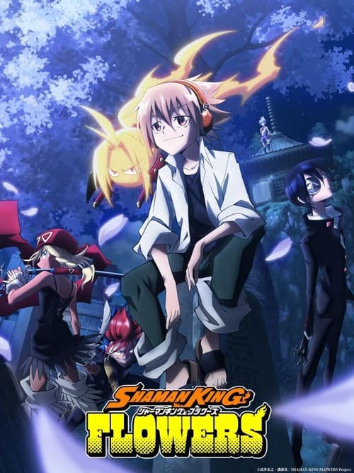 Where to stream Shaman King Season 2