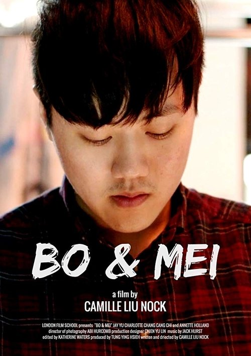 Bo & Mei movie poster player