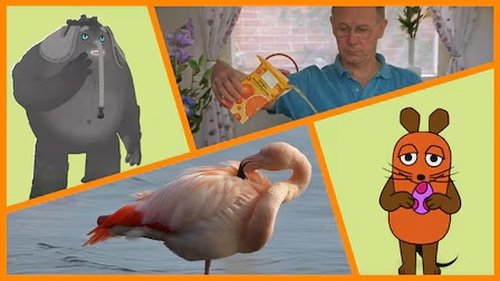 Image de l'épisode 17