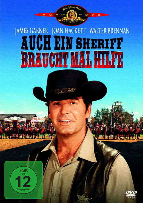 Support Your Local Sheriff! poster