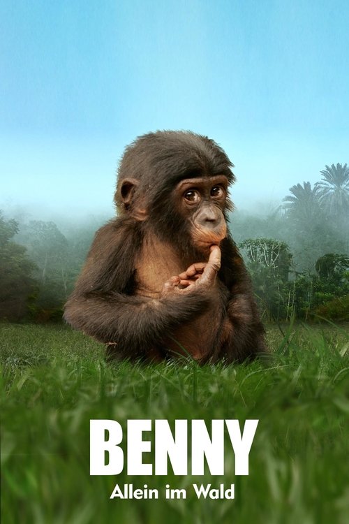 Benny: Allein im Wald 3D movie poster player