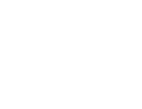 Buffy the Vampire Slayer