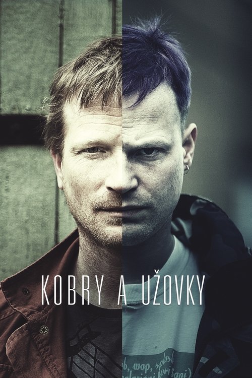 Kobry a Užovky movie poster player