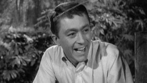 Escena del episodio 15 de la temporada 2 de la serie The Andy Griffith Show