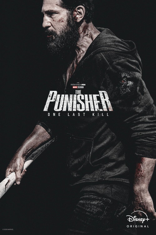 The Punisher: One Last Kill