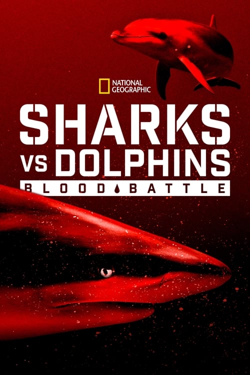 Where to stream Sharks vs. Dolphins: Blood Battle