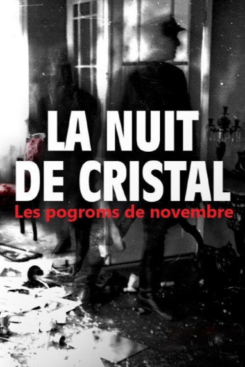 Poster of : La Nuit de cristal : Les pogroms de novembre