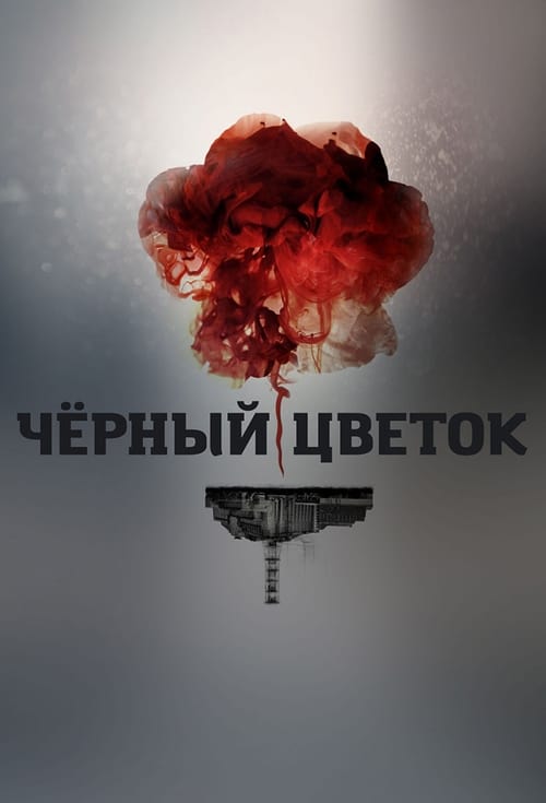 Après Chernobyl poster