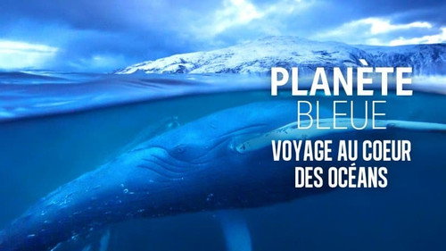 Image Un Seul Océan