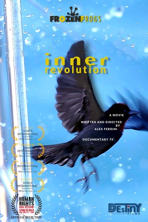 Inner Revolution movie poster player