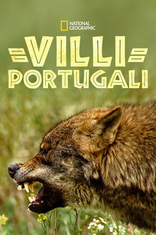 Villi Portugali
