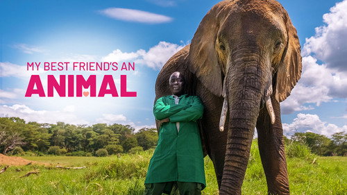 Кадр из My Best Friend’s An Animal