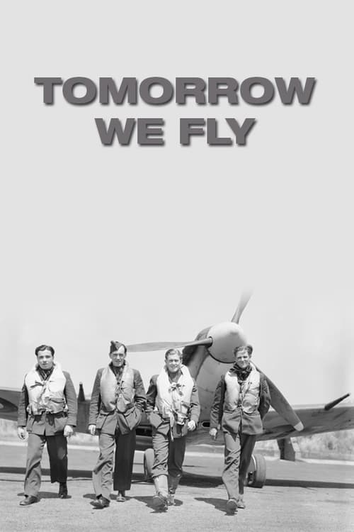Tomorrow We Fly poster