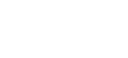 Cheaper by the Dozen 2
