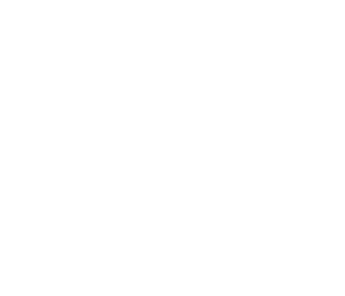 في حذائي