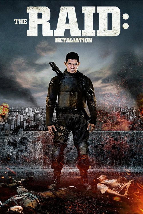 The Raid 2 poster