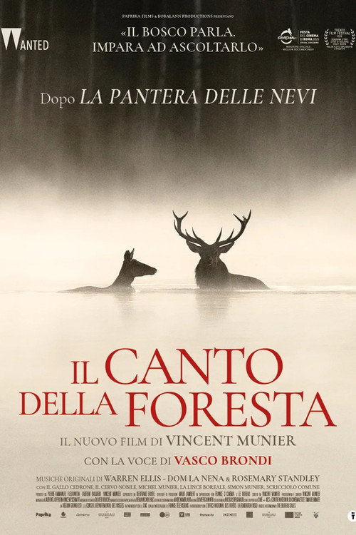Locandina di Il canto della foresta