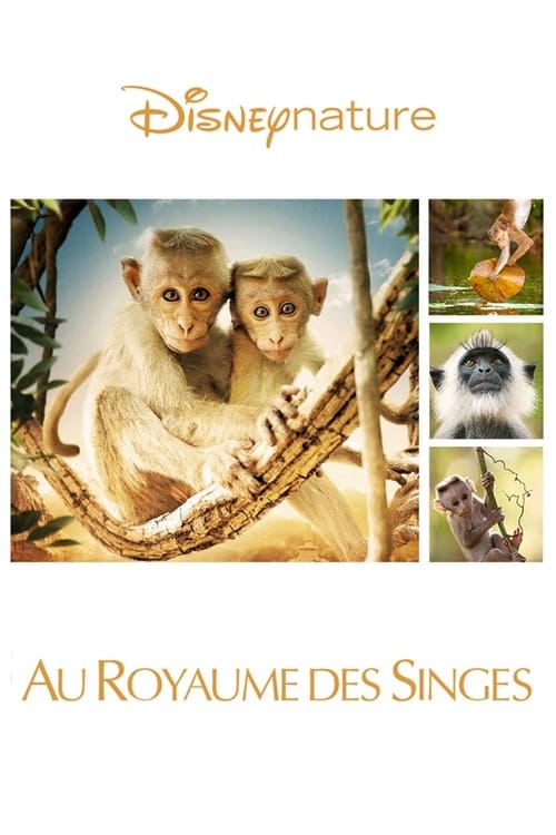 Au Royaume des singes