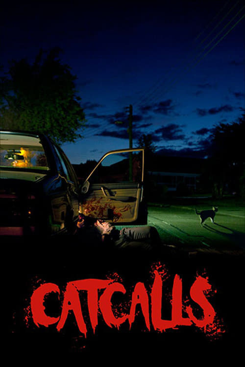 Catcalls (2017) poster