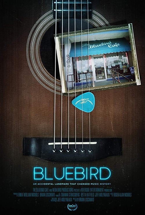 HD Bluebird