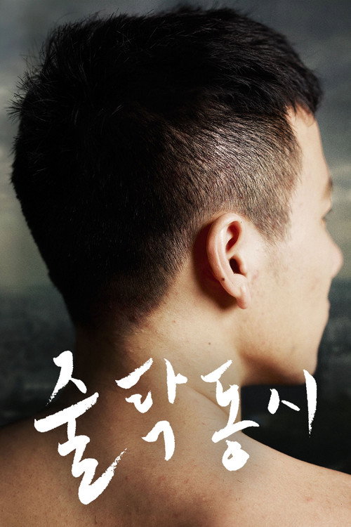 Poster (Koreanisch)