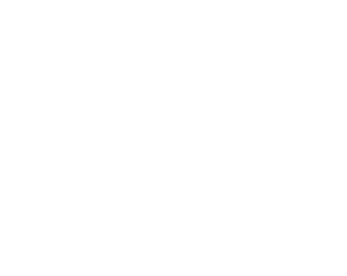 정직한 후보