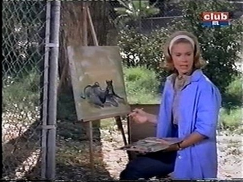 Judy artiste peintre