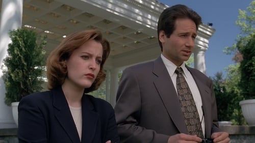 The X-Files: 2×24