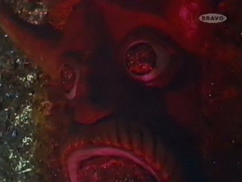 Image de l'épisode 6