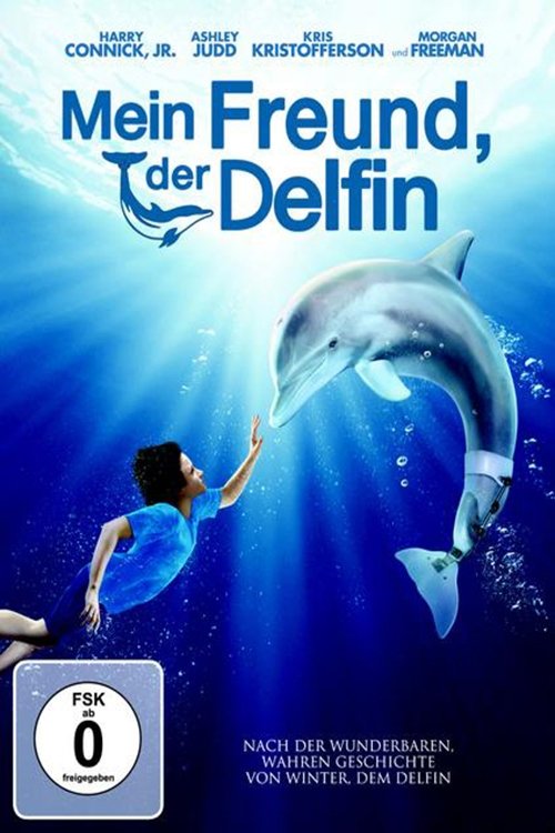 Mein Freund, der Delfin