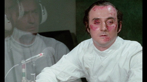 Everybody He Is Nice, Everybody He Is Beautiful