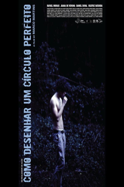 How to Draw a Perfect Circle poster