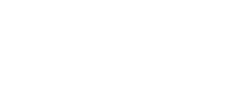 The Guest