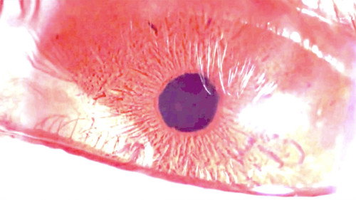 Slow Dancing on the Red Floor