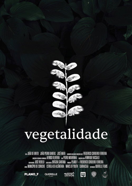 Vegetalidade