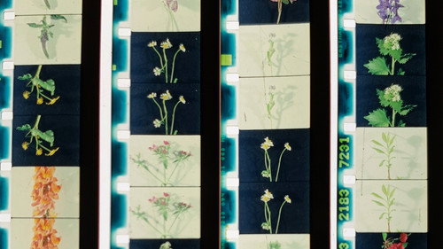 Lover, Lovers, Loving, Love