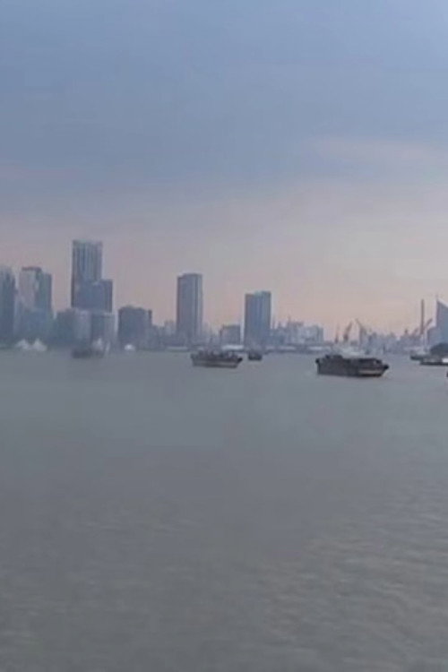 Ships Passing on the Huangpu River