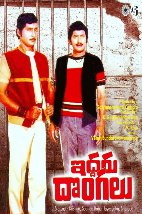 ఇద్దరు దొంగలు film afişi