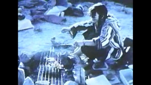 Le pique-nique
