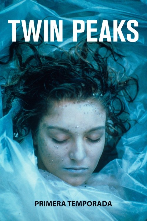 Poster de la Temporada 1 en la serie Twin Peaks