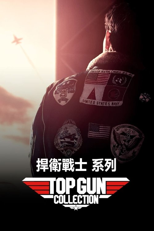 壮志凌云（系列）