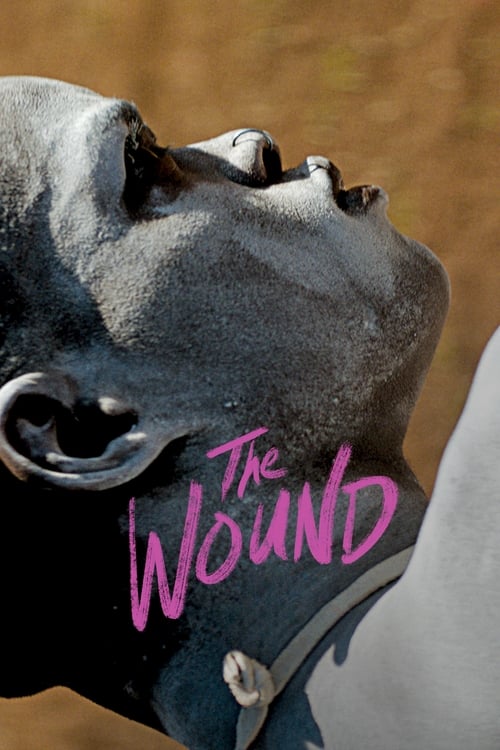 Grootschalige poster van The Wound