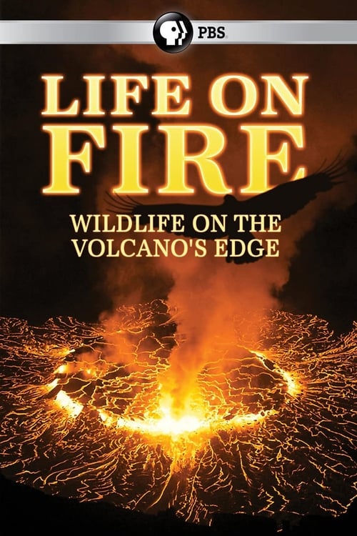 Life on Fire poster