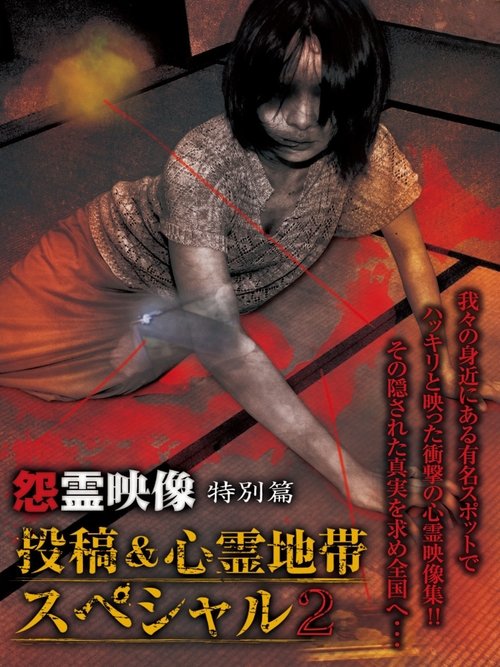怨霊映像 特別篇 投稿&心霊地帯スペシャル 2