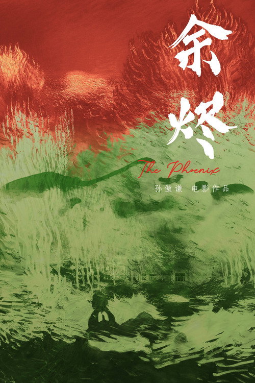 Embers poster