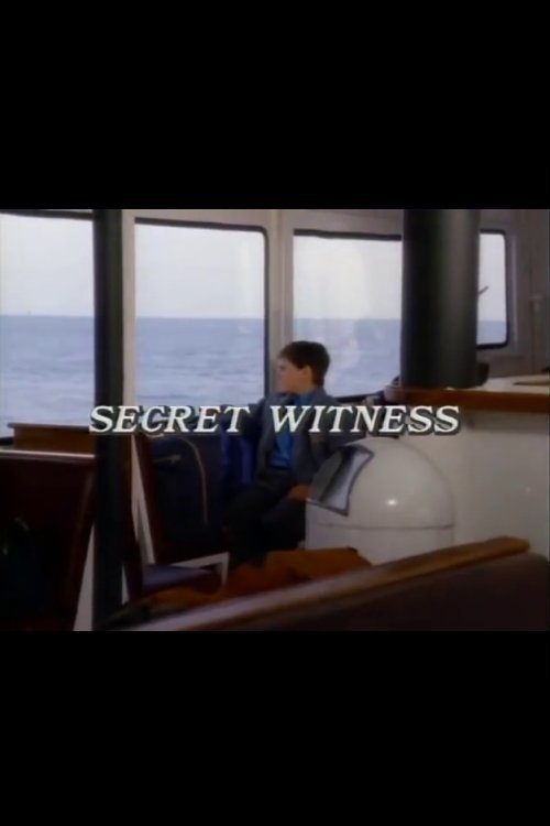 Secret Witness movie poster player