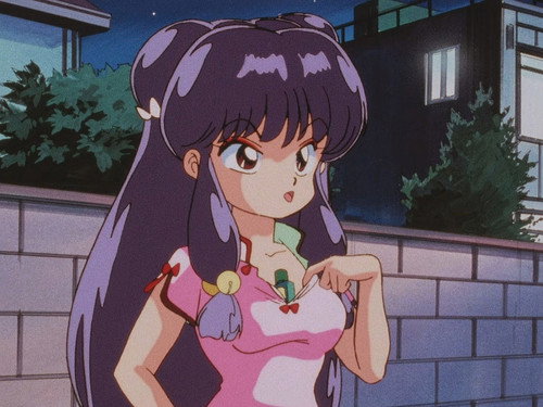 Photo 259