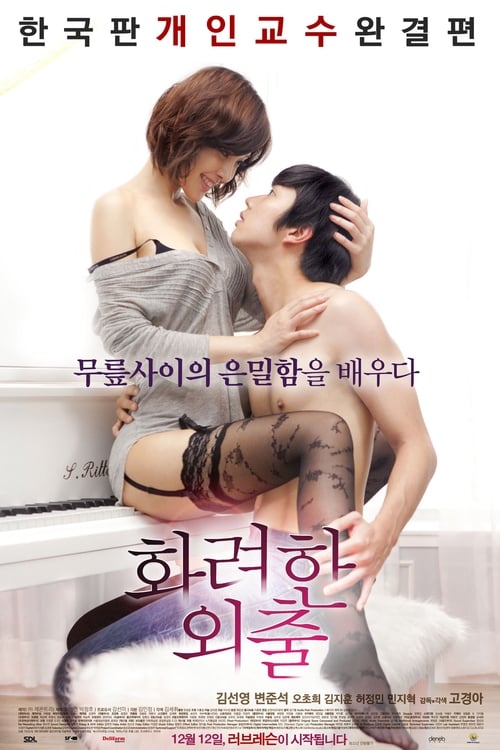 화려한 외출 (2013) poster